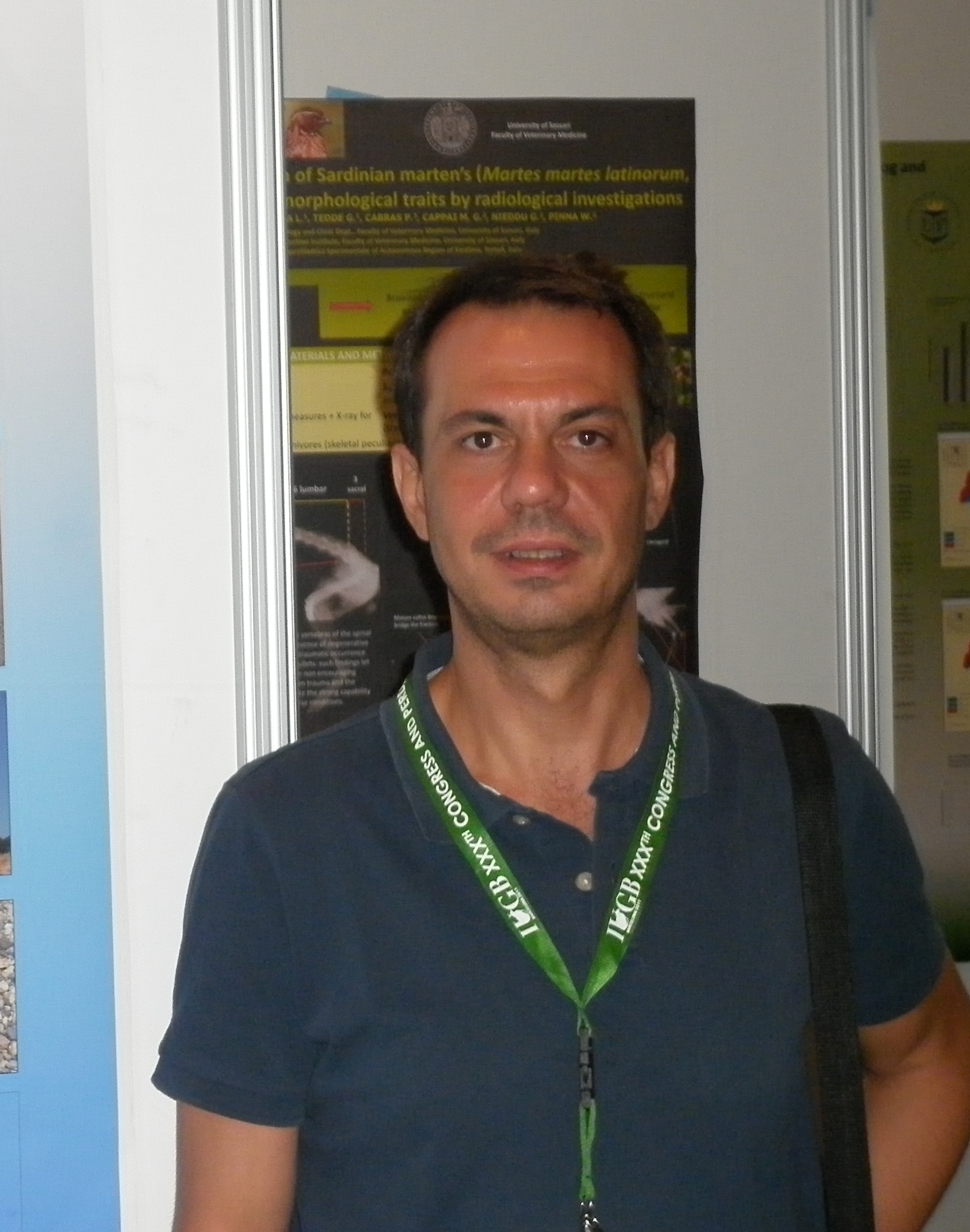 User profile picture