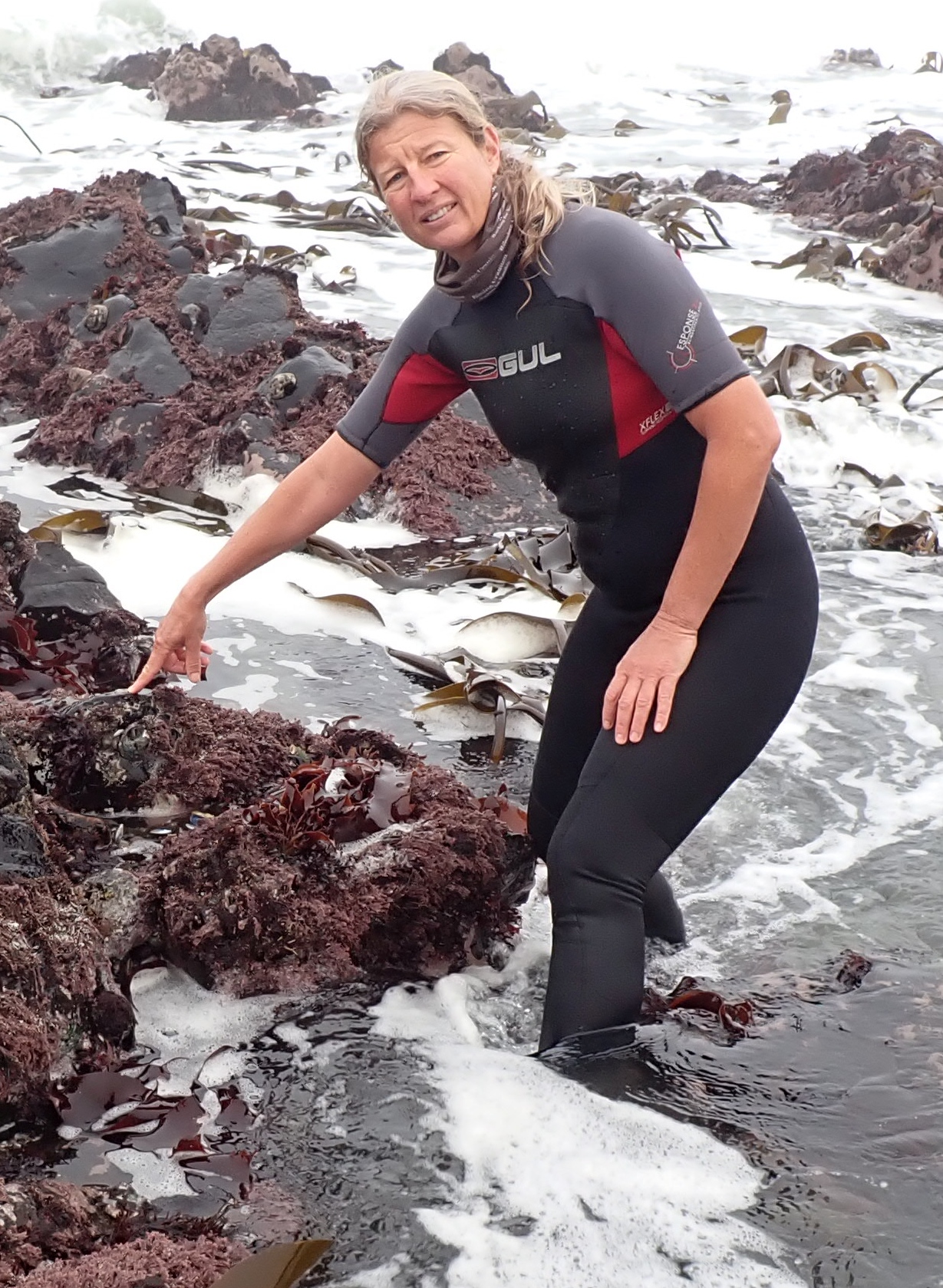 User profile picture