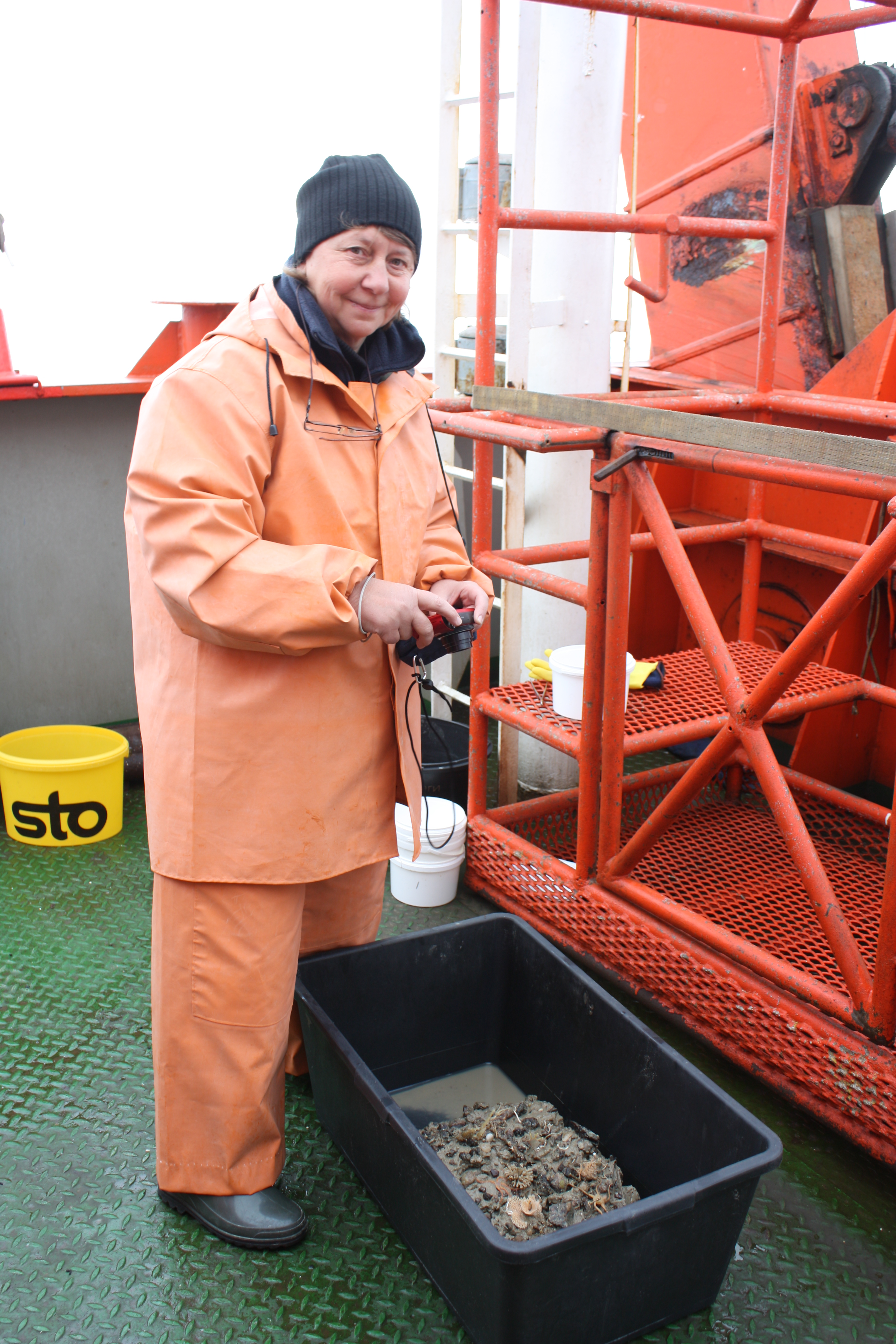 User profile picture