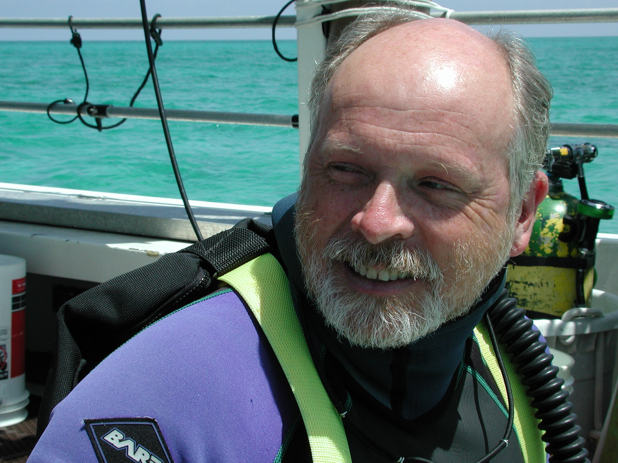 User profile picture