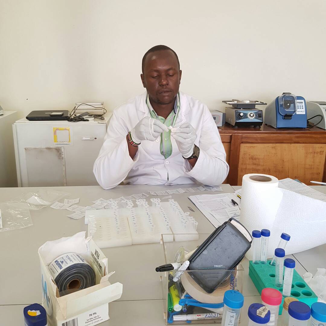 User profile picture