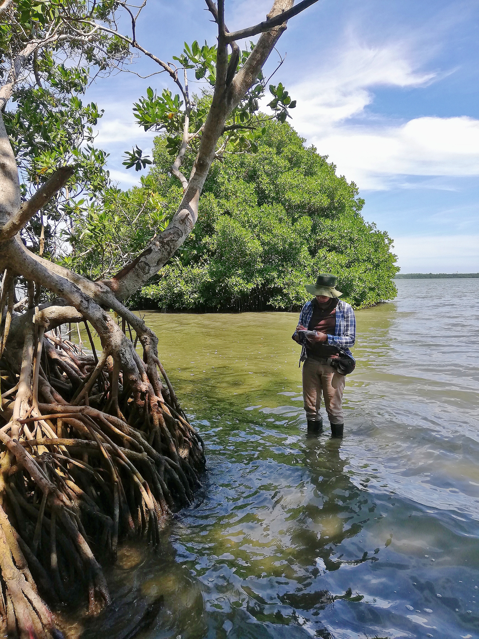 User profile picture