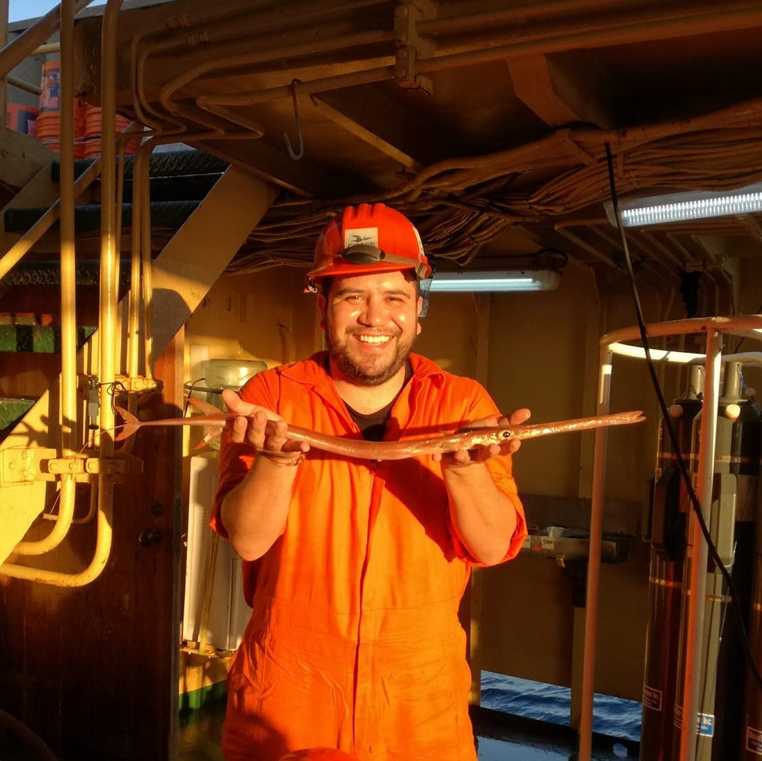 User profile picture