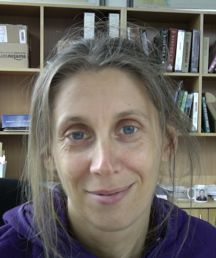 User profile picture