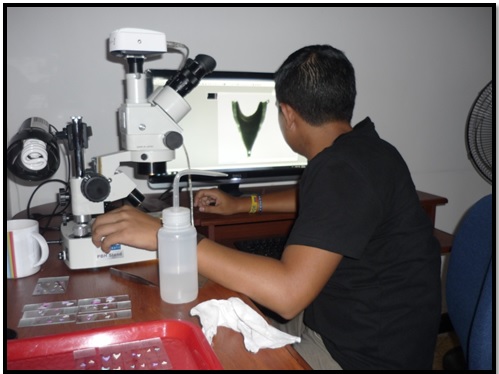 User profile picture