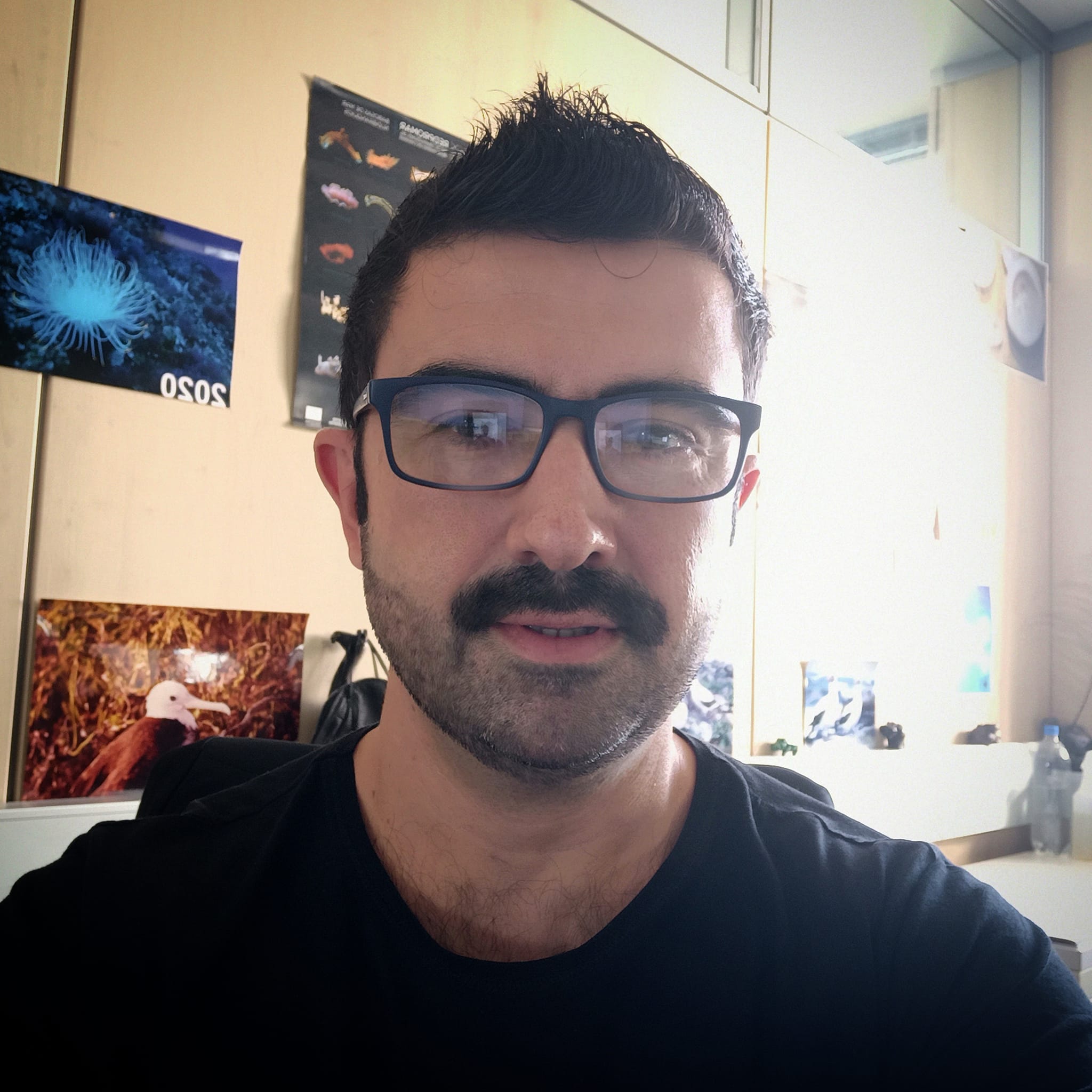 User profile picture