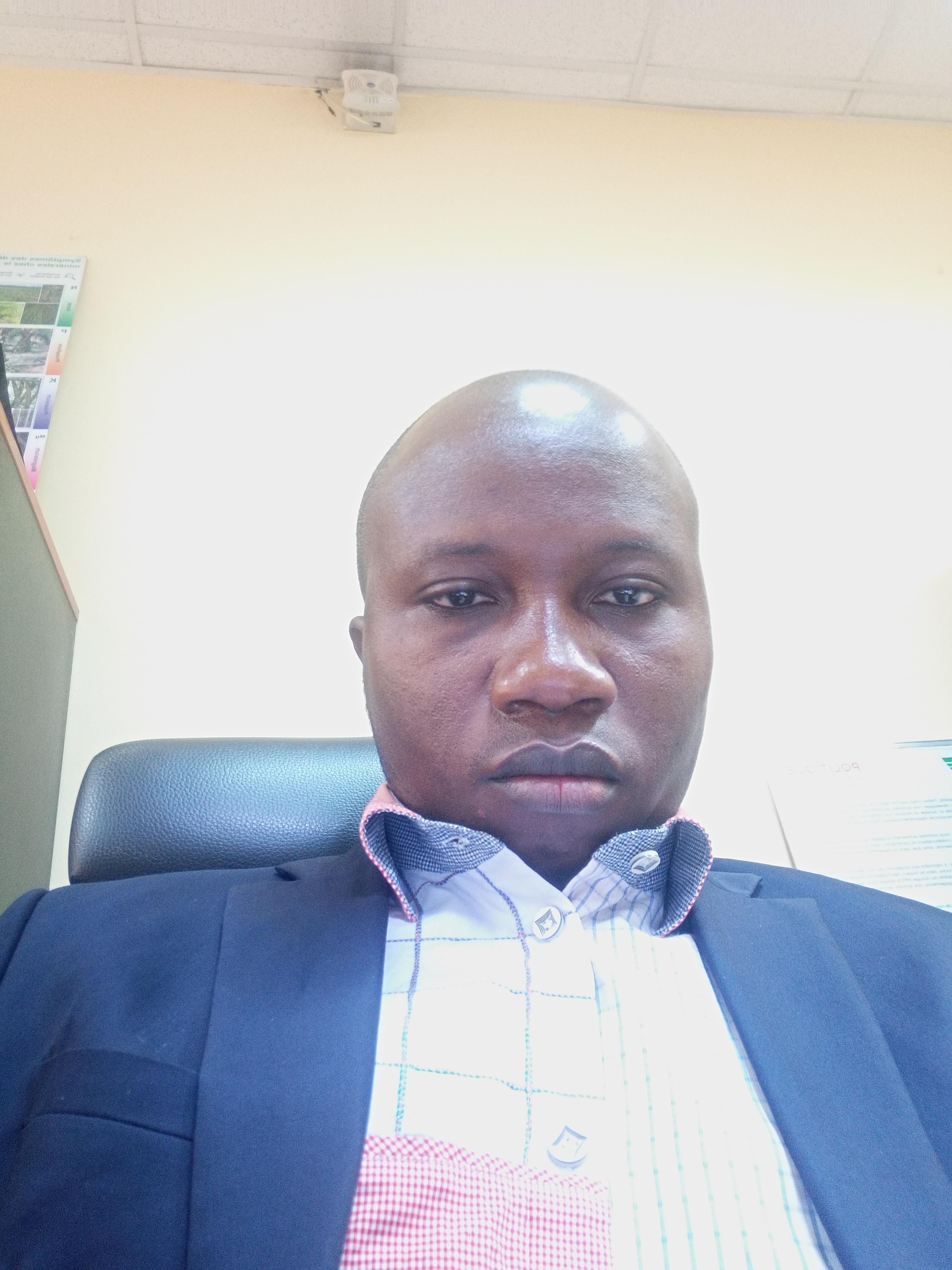 User profile picture