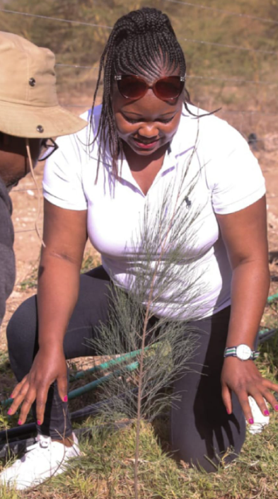 User profile picture