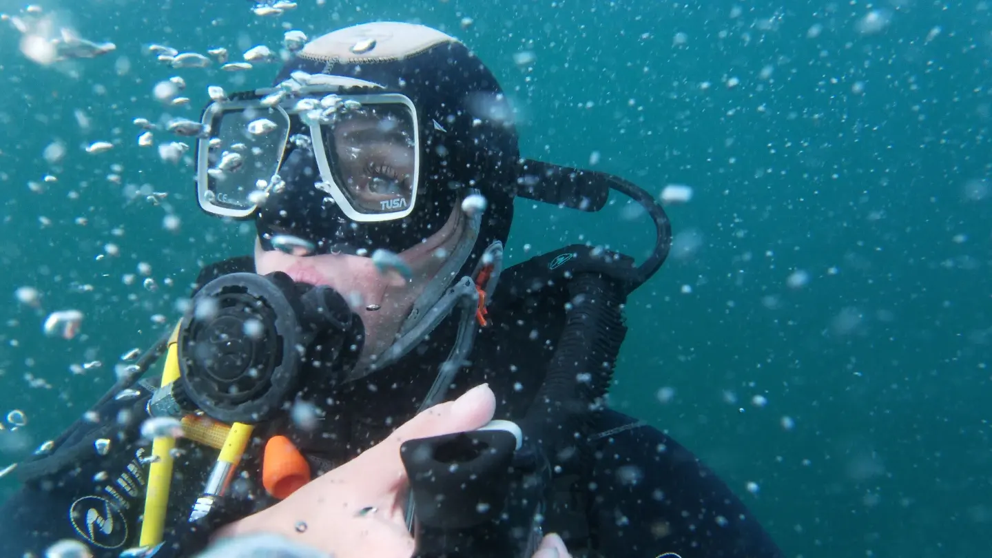 User profile picture