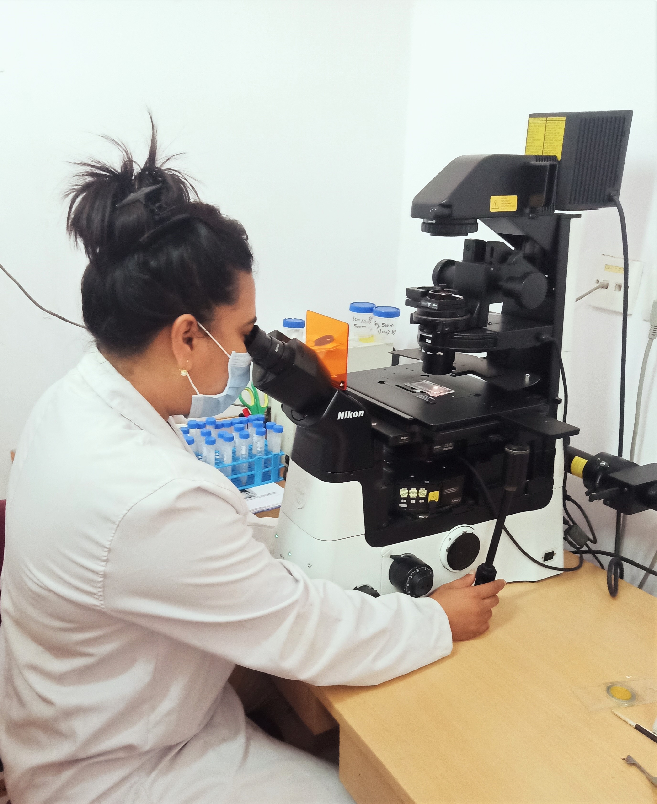 User profile picture