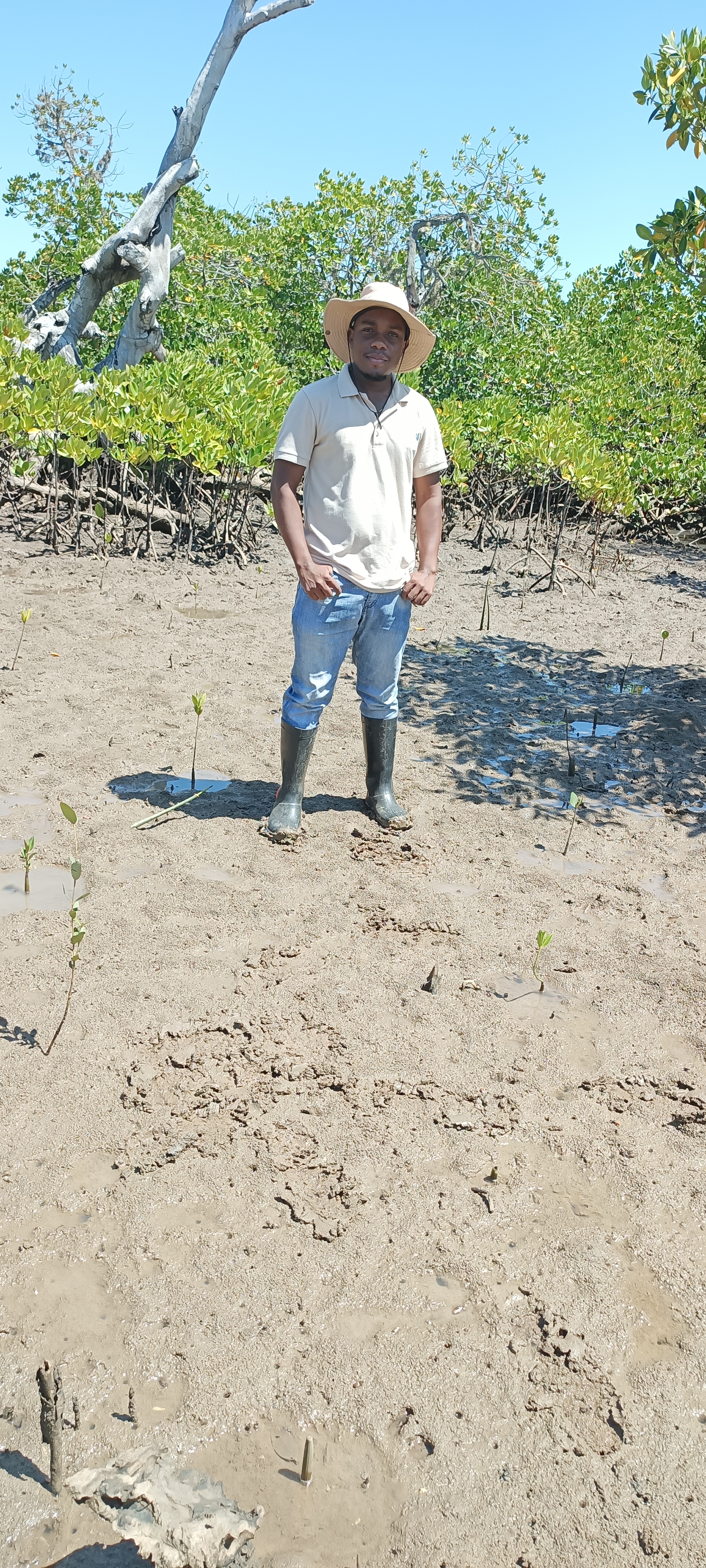 User profile picture