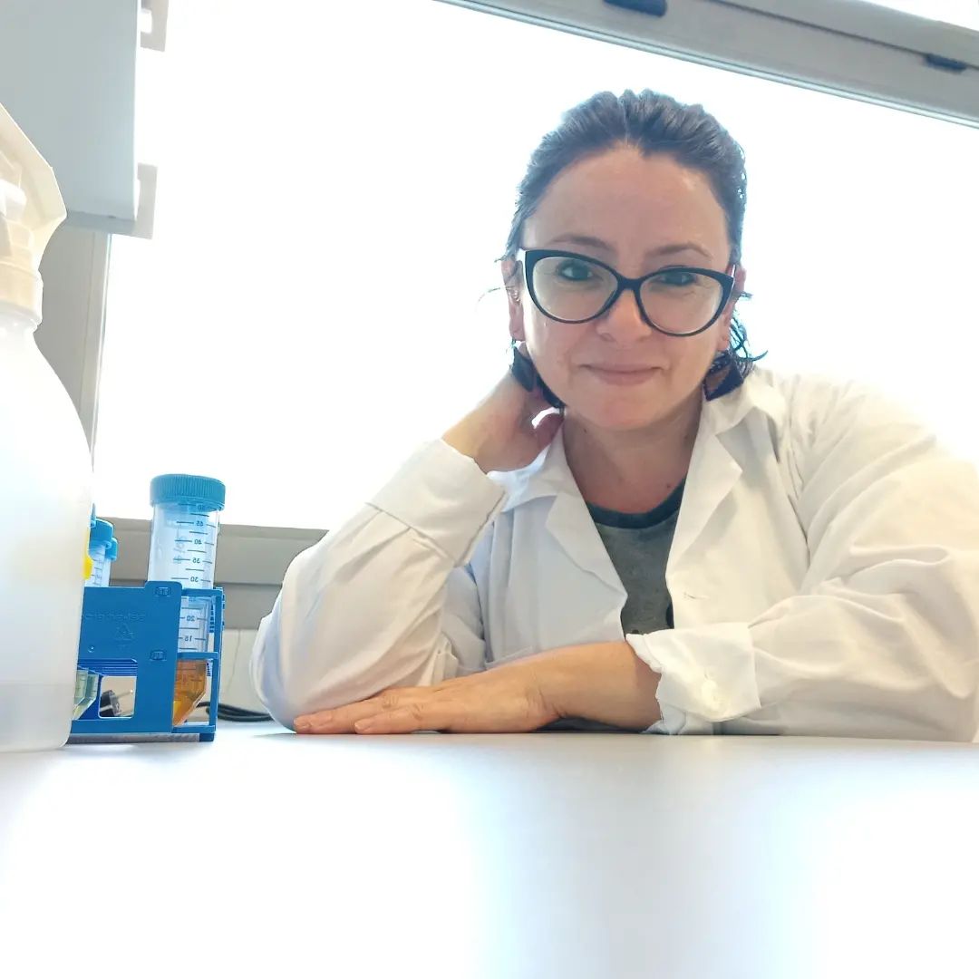 User profile picture