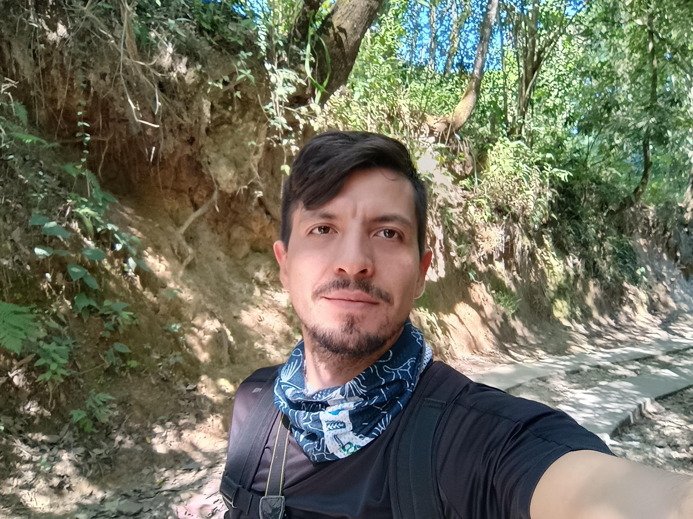 User profile picture