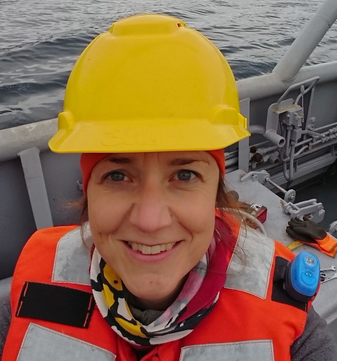 User profile picture