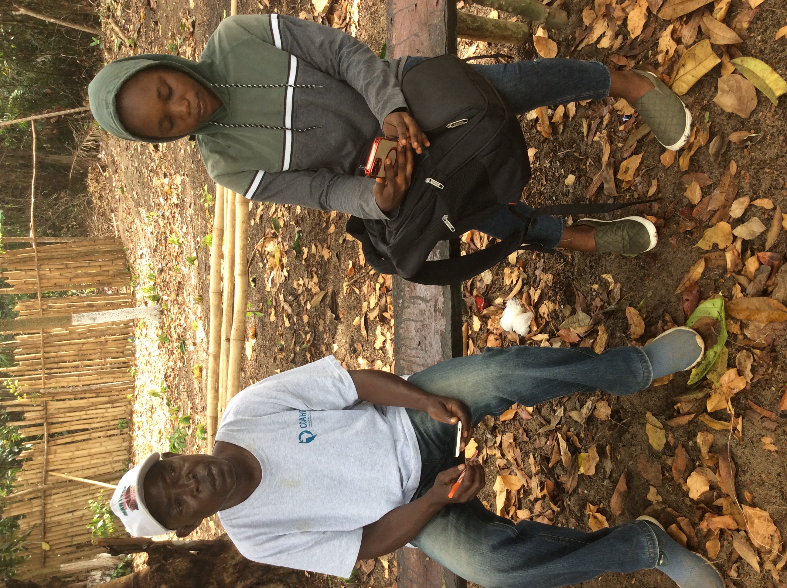 User profile picture