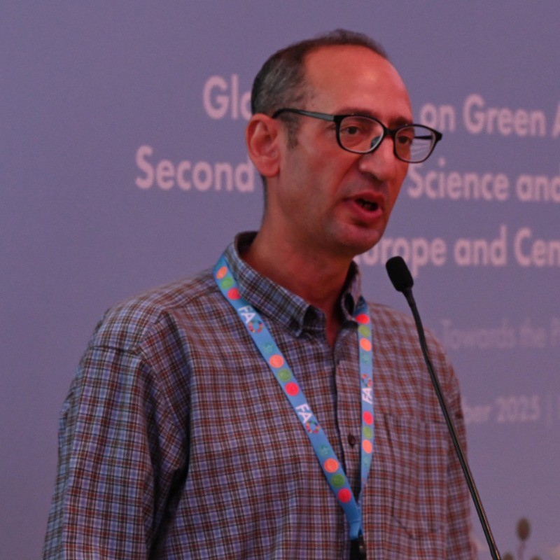 User profile picture